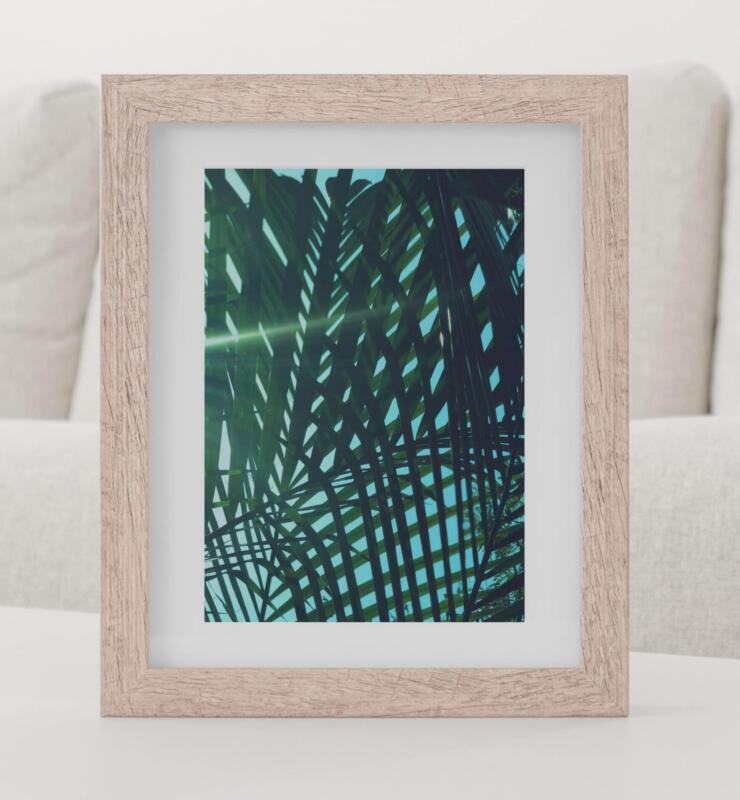 Wandbild Kunstdruck Tropisch Botanik – Bild 2