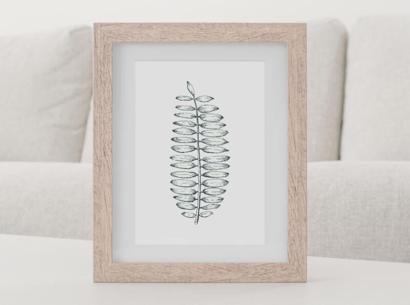 Wandbild Kunstdruck Zeichnung Farn Botanik – Bild 2