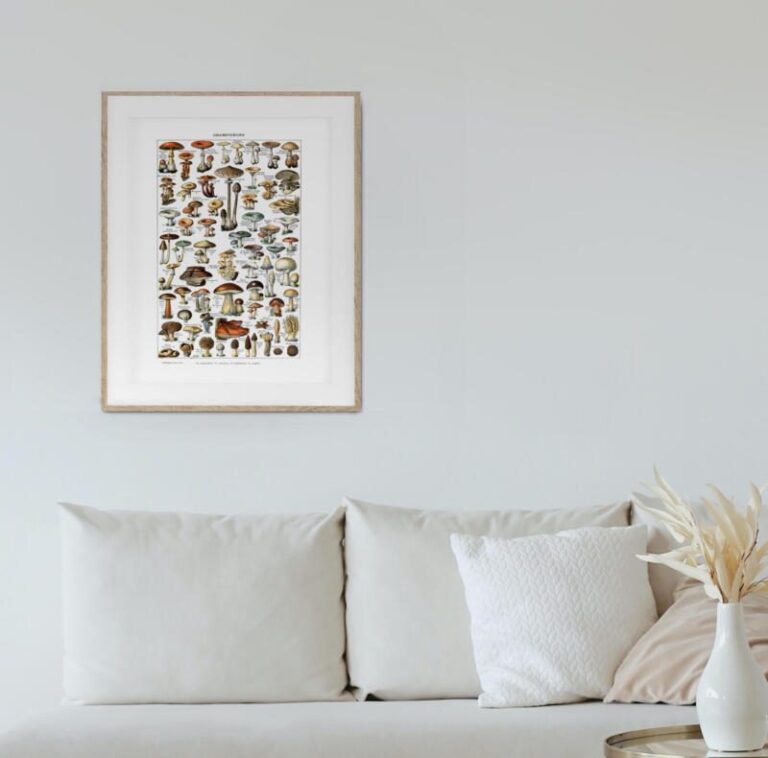 Pilze Vintage Poster - Naturwissenschaftliche Illustrationen Adolphe Millot – Bild 4