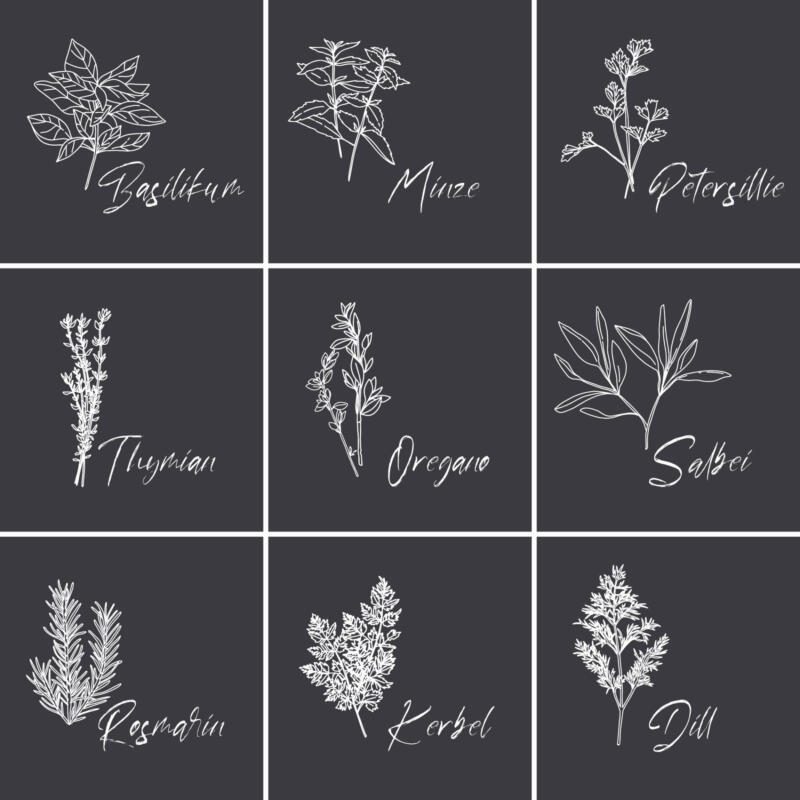 Küchenkräuter Gewürze Pflanzen - Fliesenaufkleber für die Küche – Bild 3