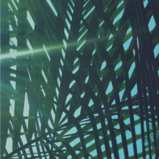 Wandbild Kunstdruck Tropisch Botanik