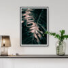 Monstera Blatt Makrofotografie Tropisch Jungle - Poster