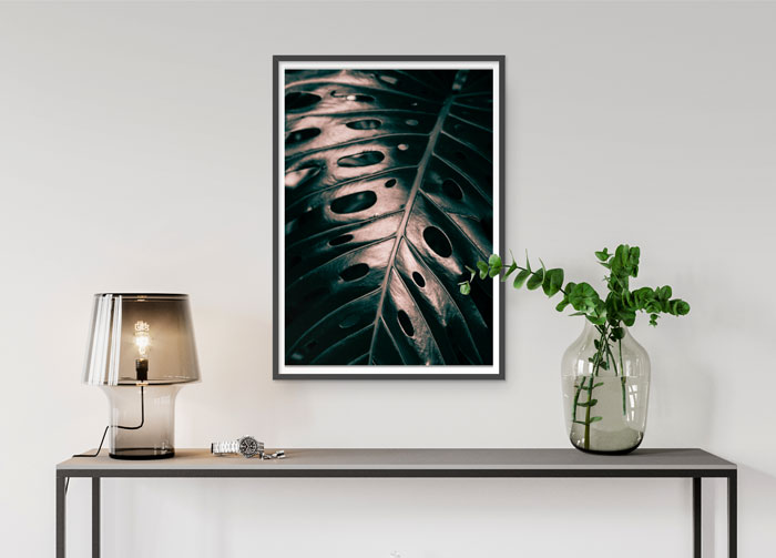 Monstera Blatt Makrofotografie Tropisch Jungle - Poster – Bild 2