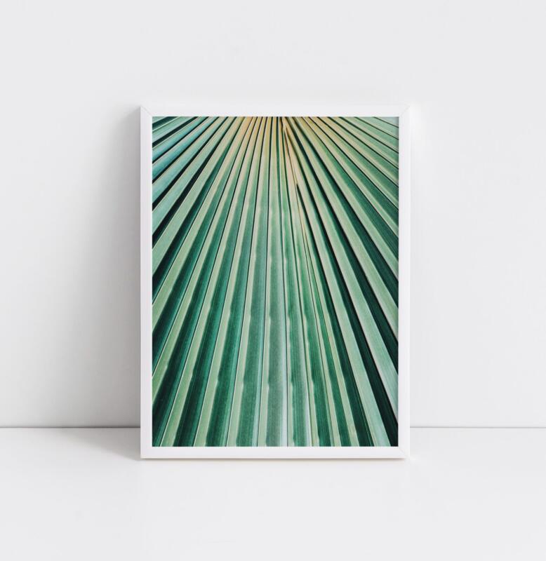 Palmenblatt Makrofotografie Nahaufnahme Tropisch Jungle Poster – Bild 3