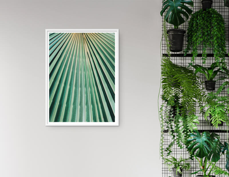 Palmenblatt Makrofotografie Nahaufnahme Tropisch Jungle Poster – Bild 4