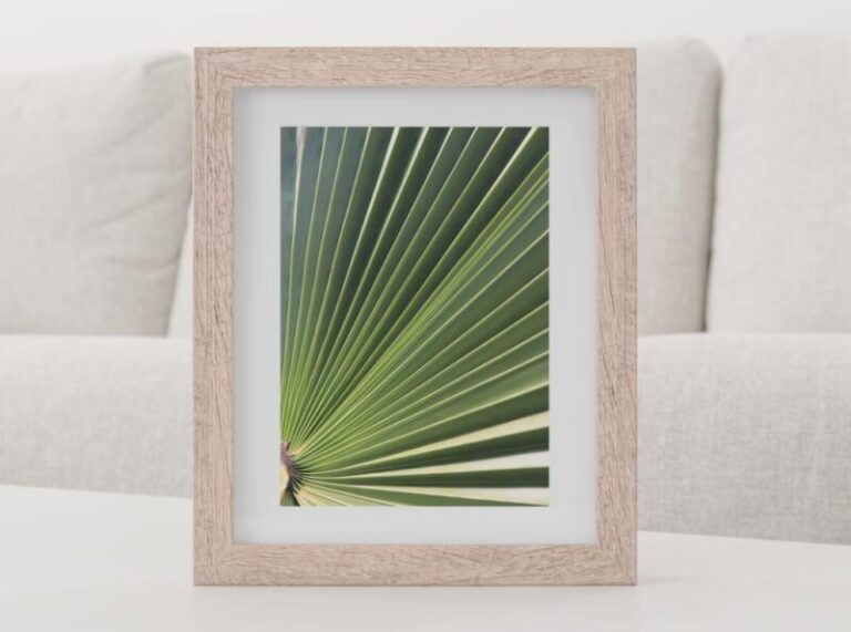 Wandbild Kunstdruck Palmenblätter Tropisch – Bild 2