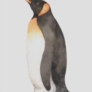 Wandbild Kunstdruck Aquarell Pinguin