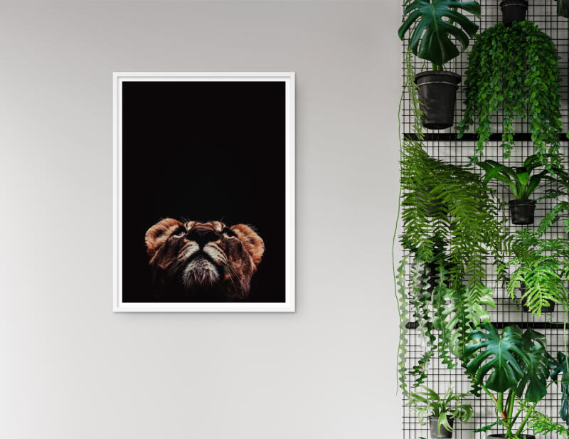 Löwin Portrait Kunstdruck Poster Wandbild – Bild 2